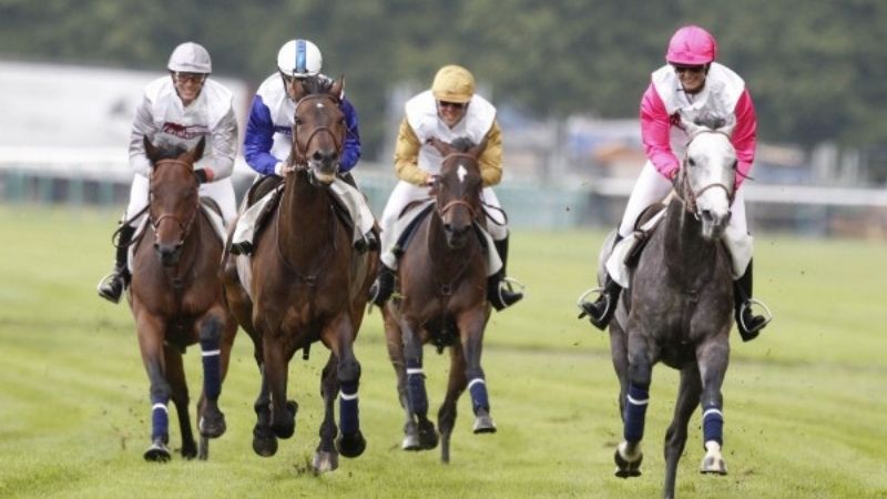 Comunidade e discussão