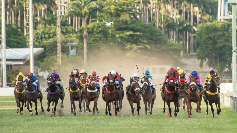 Informações Essenciais sobre Corridas de Cavalos