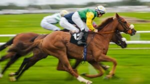 Como Apostar em Corrida de Cavalos Online
